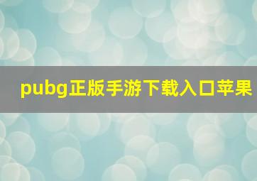 pubg正版手游下载入口苹果