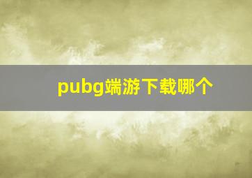 pubg端游下载哪个