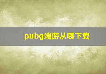 pubg端游从哪下载