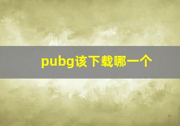 pubg该下载哪一个