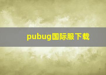 pubug国际服下载