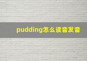 pudding怎么读音发音