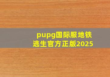 pupg国际服地铁逃生官方正版2025