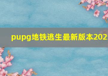 pupg地铁逃生最新版本2025