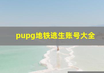 pupg地铁逃生账号大全