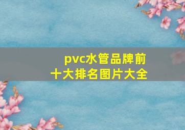 pvc水管品牌前十大排名图片大全