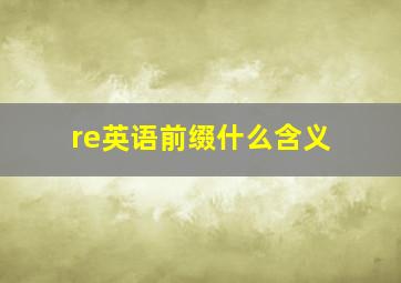 re英语前缀什么含义