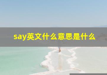 say英文什么意思是什么