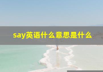 say英语什么意思是什么