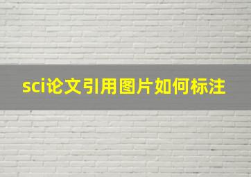 sci论文引用图片如何标注