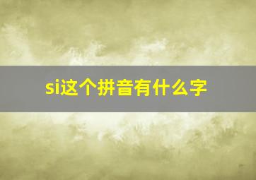 si这个拼音有什么字