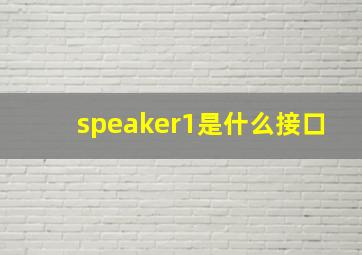 speaker1是什么接口