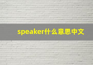 speaker什么意思中文