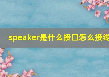 speaker是什么接口怎么接线