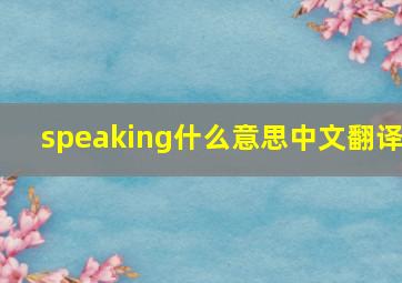 speaking什么意思中文翻译