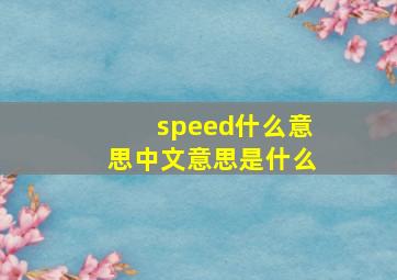 speed什么意思中文意思是什么