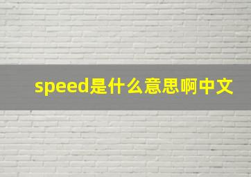 speed是什么意思啊中文