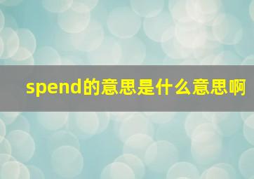 spend的意思是什么意思啊