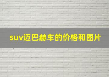 suv迈巴赫车的价格和图片