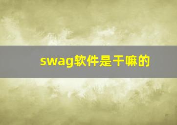 swag软件是干嘛的