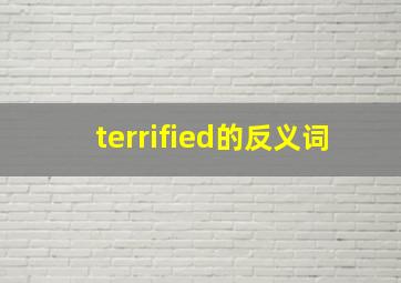 terrified的反义词