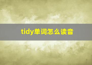 tidy单词怎么读音