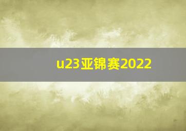 u23亚锦赛2022