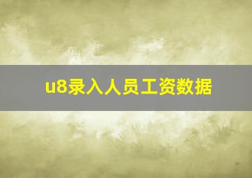 u8录入人员工资数据