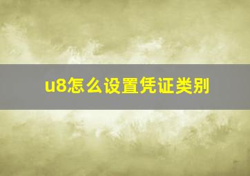 u8怎么设置凭证类别