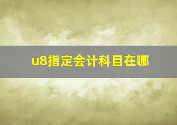 u8指定会计科目在哪