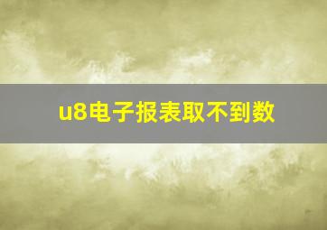 u8电子报表取不到数