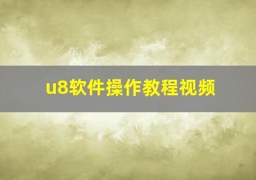 u8软件操作教程视频