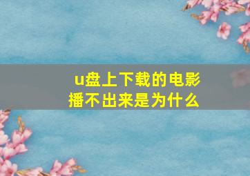 u盘上下载的电影播不出来是为什么