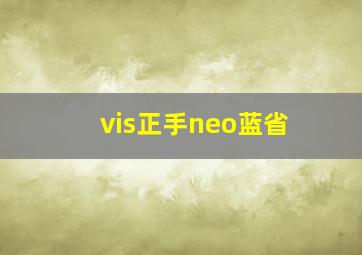 vis正手neo蓝省