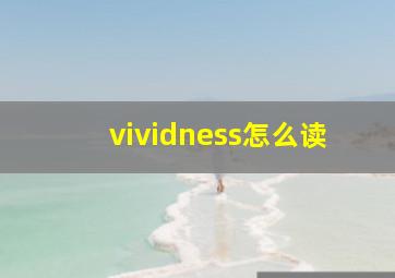 vividness怎么读