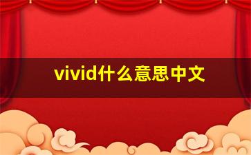 vivid什么意思中文