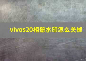 vivos20相册水印怎么关掉