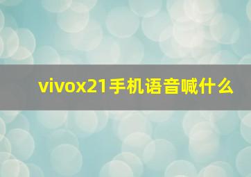 vivox21手机语音喊什么