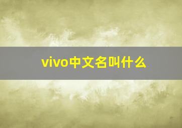 vivo中文名叫什么