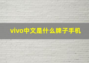 vivo中文是什么牌子手机