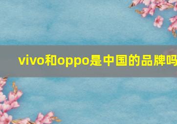 vivo和oppo是中国的品牌吗