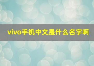 vivo手机中文是什么名字啊