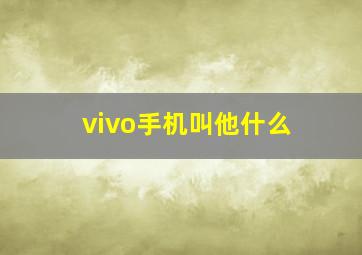 vivo手机叫他什么