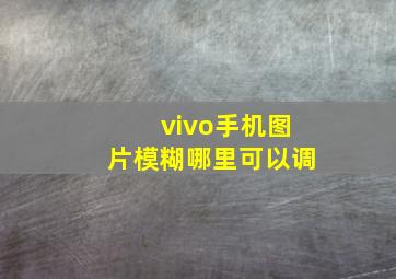 vivo手机图片模糊哪里可以调