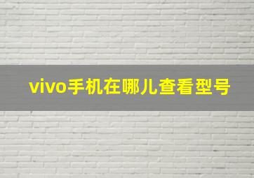 vivo手机在哪儿查看型号