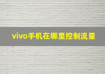 vivo手机在哪里控制流量