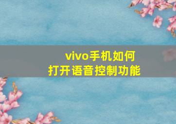 vivo手机如何打开语音控制功能