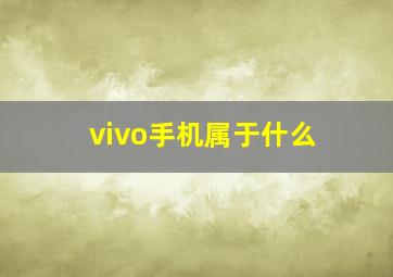 vivo手机属于什么