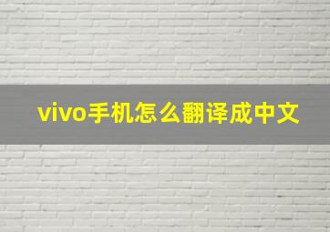 vivo手机怎么翻译成中文