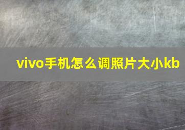 vivo手机怎么调照片大小kb